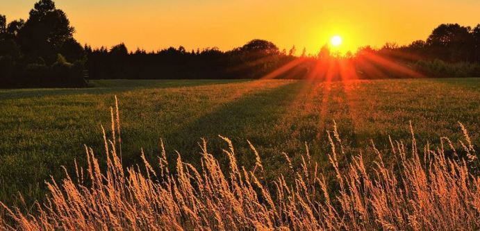 Image of field sunset