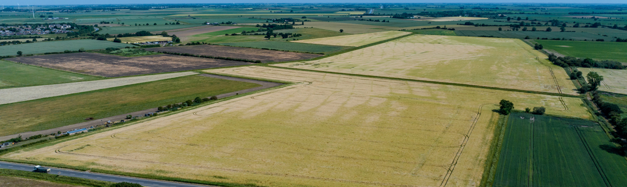 Image of Burrow Hill Farm DJI_20230616105103_0166_D