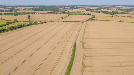 Image of Cottered Farm (42)