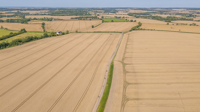 Image of Cottered Farm (42)