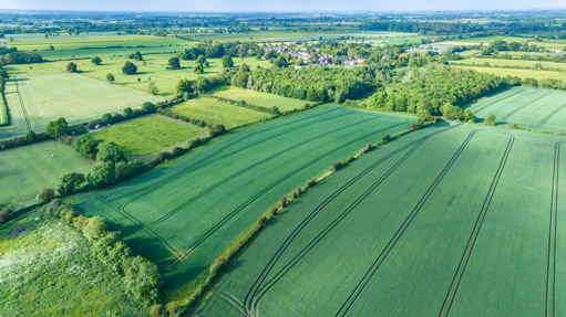 Image of Land at Bainton DJI_20230607180628_0007_D