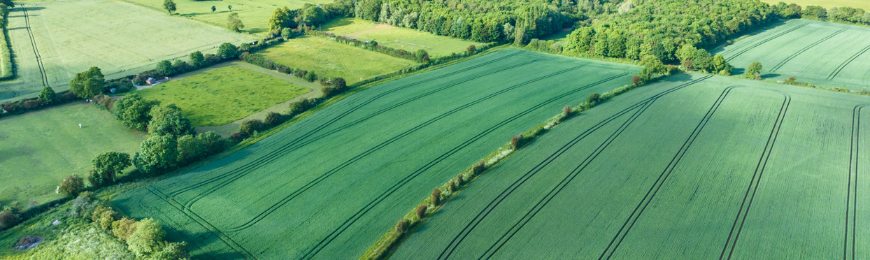 Image of Land at Bainton DJI_20230607180628_0007_D