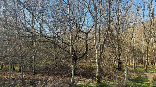 Image of Land at Broxbourne