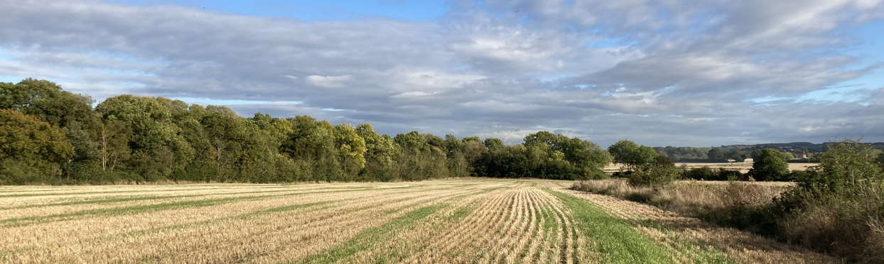 Image of Land at Silsoe