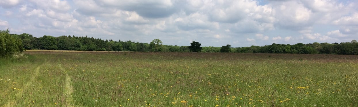 Image of Redheath Farm RKL180003_02_h