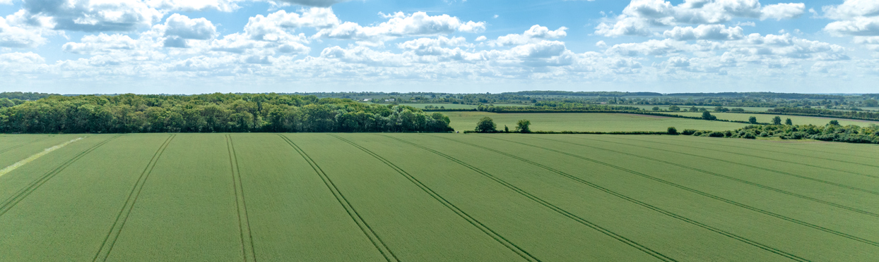 Image of Upper Stour Valley 1 DJI_0745