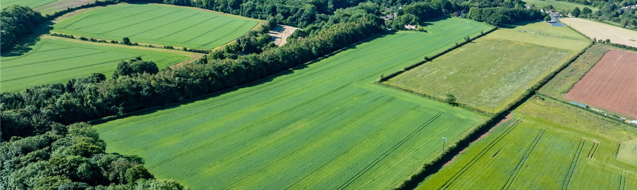 Image of Temple Guiting