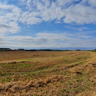 Cambridge County Council Lower Valley Farm (10)