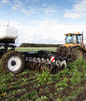 Feed the soil, not the plants