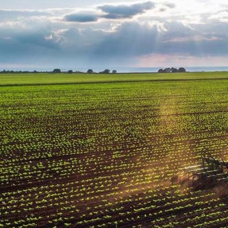 Image of Tractor on a field