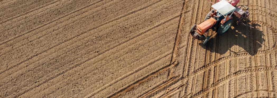 Image of AdobeStock_263073100