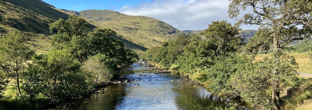 Matt Hay West Glenalmond