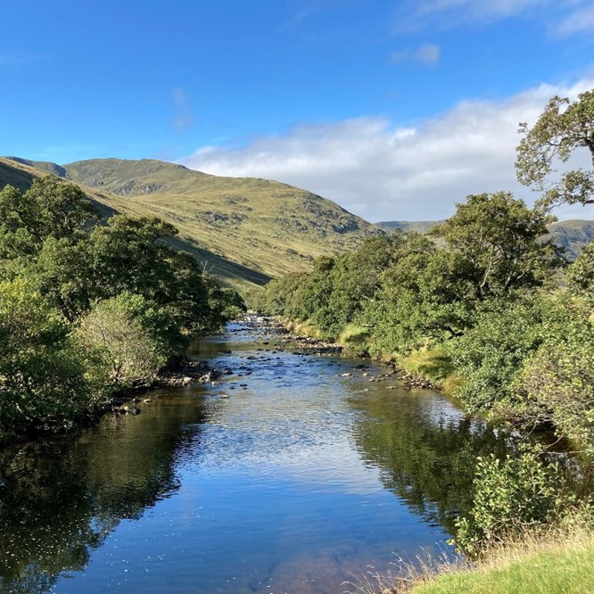 Matt Hay West Glenalmond