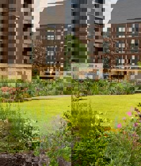 Economics & Social Value