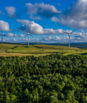 Winds of Change: Opportunities for landowners in renewables